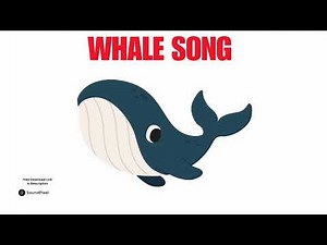 Whale Song Sound Effects | Free Download Royalty Free