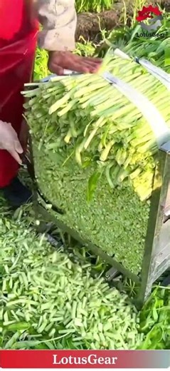 Insanely Satisfying Grass Cutting Process | Smart Farming Tool That Saves Hours