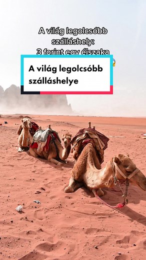 A világ legolcsóbb szálláshelye - ennél már csak az ingyenes szálláshely olcsóbb…🤪 Nem, nem fogják eladni a vesédet!😎 #utazás #utazásitippek #neked #nekedbe #foryou #foryoupage #magyartiktok #jordánia