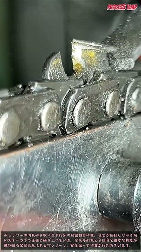 プロ直伝チェンソーの研磨技術を完全公開 #chainsaw #maintenance #tools #craftsmanship #diy
