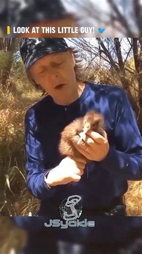 Paul McCartney and a Baby Kiwi Bird! 🥝🐦 #paulmccartney #thebeatles #naturelovers #shorts #jsyakie
