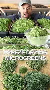 Why YOU Should Be Freeze-Drying Microgreens! 🌱 #freezedriedmicrogreens