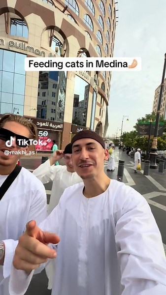 Peak experience🤌🏼🤍🤲🏼 #medina #cats #alhamdullilah | cats