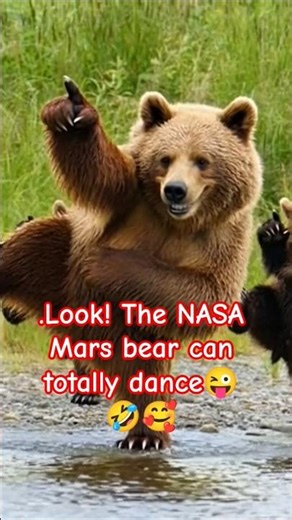 Look! The NASA Mars bear can totally dance with its adorable little cub too! 🐻🕺🐻‍❄️💃