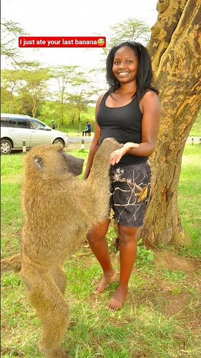 #monkey #wildlife #wildlifesanctuary