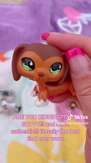 Amazing Rare LPS Thrift Store Finds & Haul