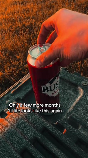 Can’t believe it’s coming back again😩😩 #buschapple #busch #bapple #summer #beer Creds:@PARKER