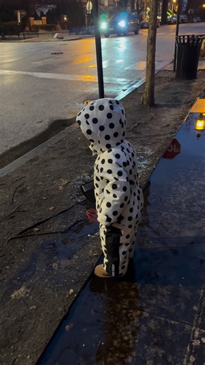 Matthew | Toddler Model | Chicago on Instagram: "Energy 👶🏼"