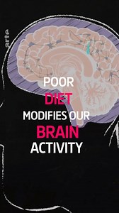 So junk food makes you stupid? Find out how to stay intelligent: https://www.arte.tv/en/videos/082725-000-A/eat-yourself-smart-and-happy/ | Arte