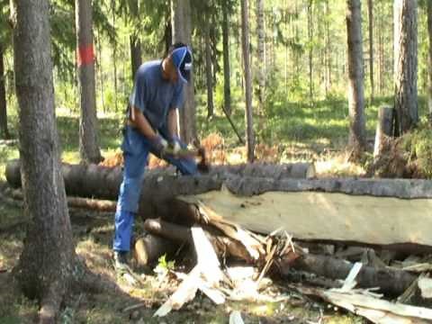 Hewing a thick spruce with Gransfors broad axe (part one)