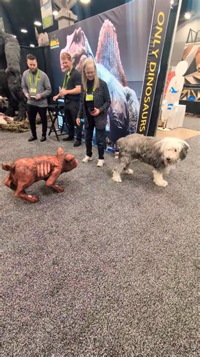 Dog Unsure About The Future Of Robot Pigs 🐖