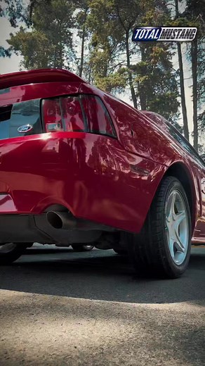 Ford Mustang 1999 🔥🐎 #mustang #mustanggt #mustangclassic #mustangshelby #mustangfanclub #mustangfanatic #totalmustang #mustangméxico #mustanglife #mustangv8 #fordmustang #shelbygt500 #shelbygt350 #shelbygt | Total Mustang