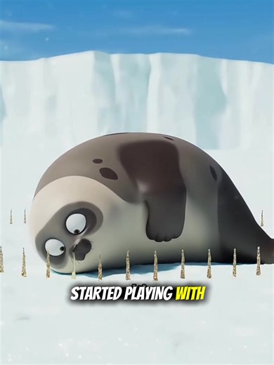 Adventures of a Little Seal