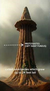Before Trees, Earth Was Covered in Giant Mushrooms | Prototaxites