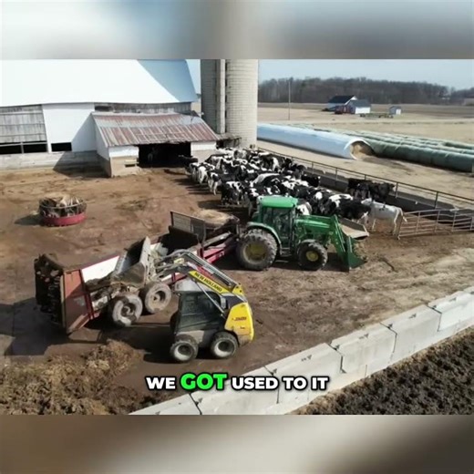 Tile Fields: The Farming Game Changer You Need #shorts