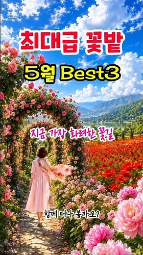 [May] Top 3 Largest Flower Gardens in Korea🌸 The Most Splendid Flower Paths Right Now #MayFlowerT...