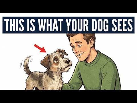 Your Dog Doesn’t See You as Human – (Here’s What They See You As)