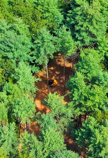 Forestry Mulching Equipment: Complete Visual Guide