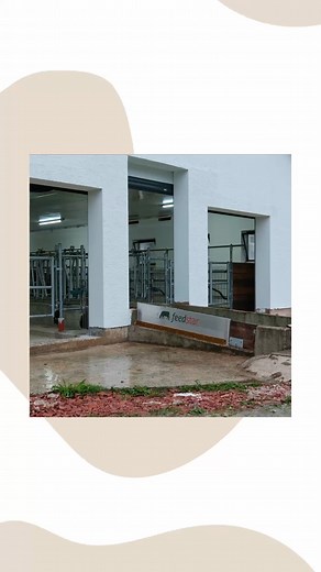 40K views · 148 reactions | Auf dem Milchviehbetrieb Kainz im...