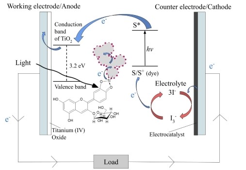 Dye-Sensitized Solar Cells: Optimization of Parameters to Maximize Efficiency