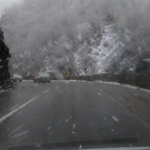 Soheil (@soheil690)’s videos with original sound - Soheil