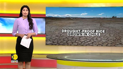 Study Reveals That Italy's Po River Likely To Face Intensifying Drought