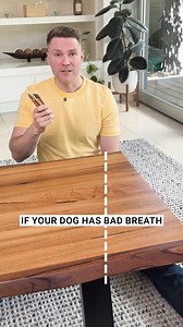 Most dental sticks only mask bad dog breath for a few minutes. Mighty Munch actually tackles the cause. Our Dental Sticks help reduce plaque as your dog chews, and the added probiotics support good bacteria in the gut so the bad odors don’t come back. Cleaner teeth, fresher breath, one daily stick. Start your 90 day risk free trial today! | Mighty Munch
