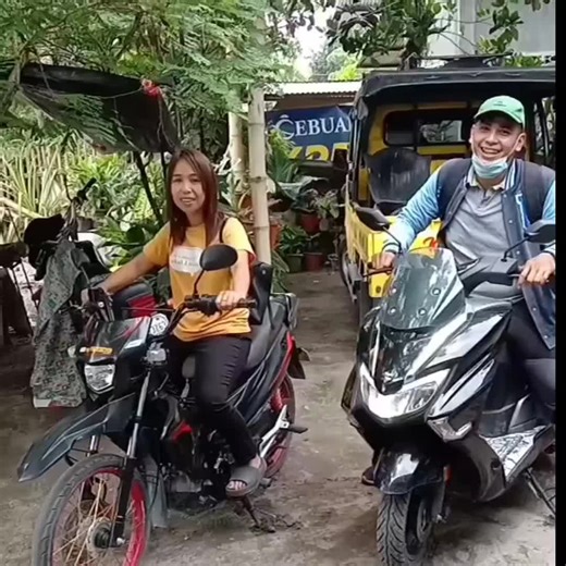 Ano ang Ibig Sabihin ni Antech sa Sherk?