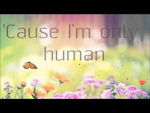 Christina Perri - Human Lyrics HD