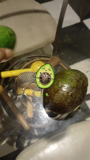 #advocado | William Thomas