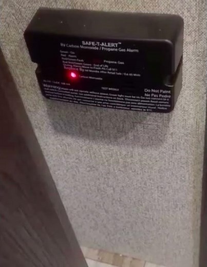 RV Consumer Shares LP Detector Issue