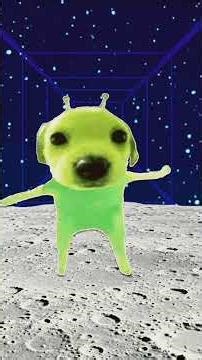 alien dog dance #rave