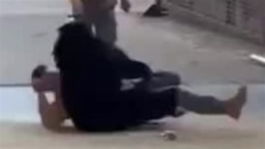 Shock at animal show: Bear wrestles man to the ground