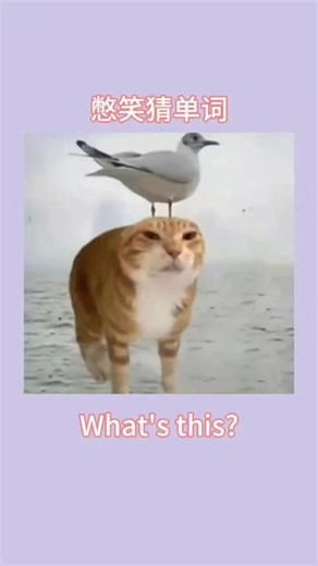 你也要上天吗？看图猜英语单词大挑战！#搞笑英语 #爆笑英语 #幽默英语 #抽象英语 #轻松无痛记单词