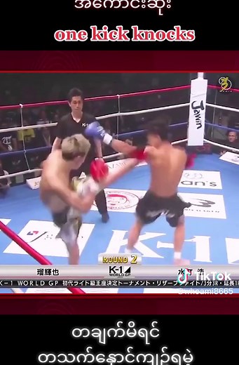 Dynamic Kickboxing Highlights from the Fighting Ring