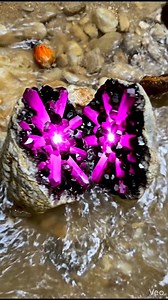 Magenta STARBURST! 🤯 Rare radiating crystals & dark matrix. #GeologyShorts #Crystals | Gemstone Explorers
