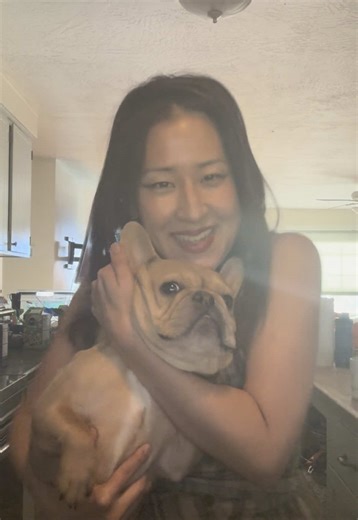 Adorable French Bulldog Moments of Love and Joy