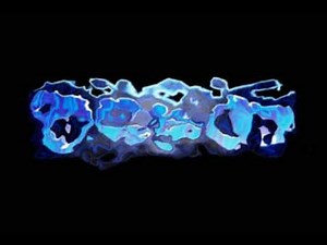 Prolific Publishing / Ocean Software / Runecraft Logos