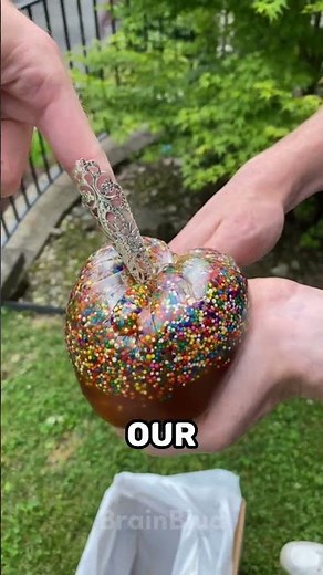 Random Facts To Surprise You 20 👀