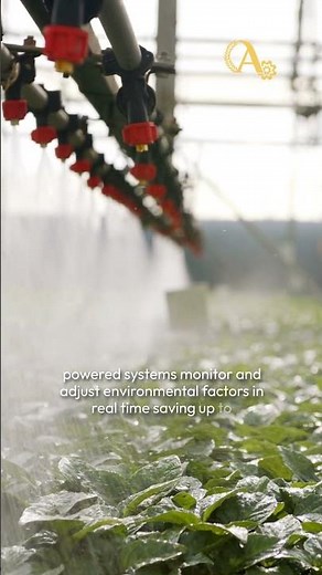 Smart Greenhouses: The Future of Sustainable Farming