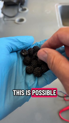Exploring Dye-Sensitized Solar Cells with Anthocyanins