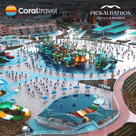 Wakacje marzeń w Egipcie – poznaj Pickalbatros Hotels!