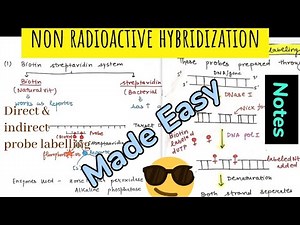Non Radioactive Hybridization || Non radioactive probe labelling #notes 😎🤩#molecular_biology