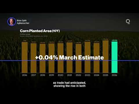 Crucial USDA Report Offers Grain Traders Hits and Misses | Presented by CME Group