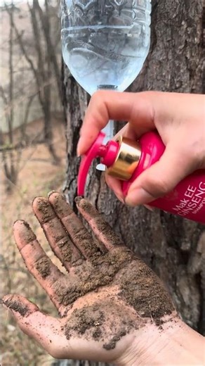 Survival Skills SIMPLE and USEFUL save SOAP_ Water in forest #bushcraft #camping #outdoors #suvival