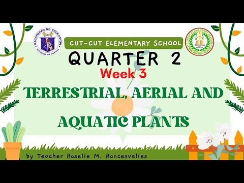 Science 4 Terrestrial Aerial Aquatic Plants