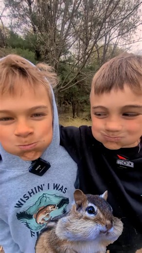 Why Are They Called CHIPMUNKS? 🐿️🤔 #animalshort