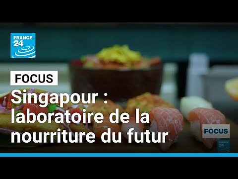 In Singapore, the food of the future is being cooked in the laboratory • FRANCE 24