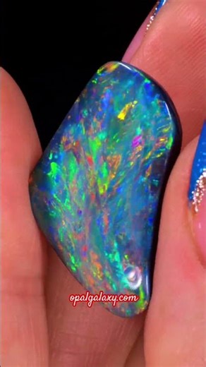 Black Opal 9.82ct Certified Neon Rainbow Fire Butterfly Wing