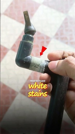 Stop Ignoring This White Stains😱||#aquarium #plantedtank